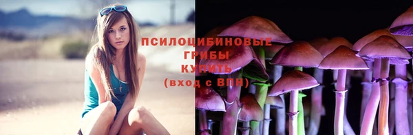 гидропоника Семикаракорск