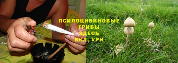 метадон Сафоново